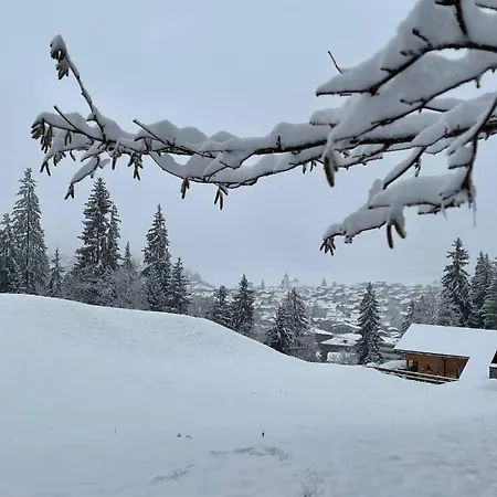 3,5 Direkt An Ski- Und Bikepiste Apartment *