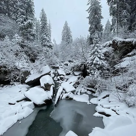 3,5 Direkt An Ski- Und Bikepiste Apartment *