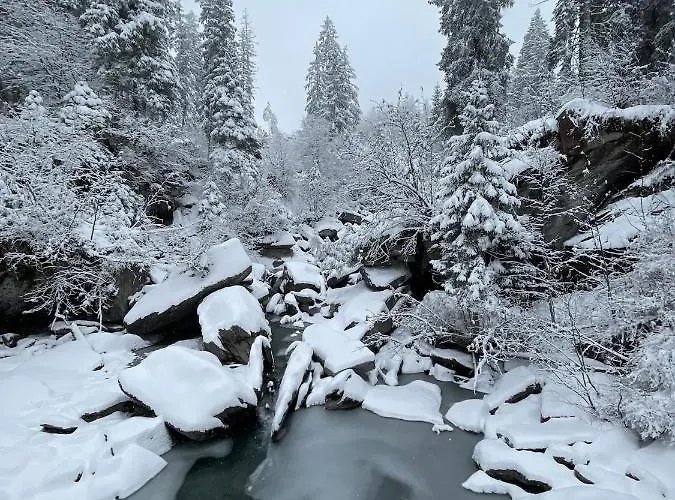 3,5 Direkt An Ski- Und Bikepiste Apartment *