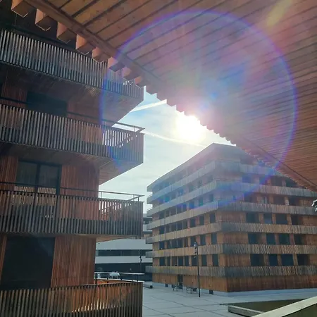 Apartment 3,5 Direkt An Ski- Und Bikepiste *