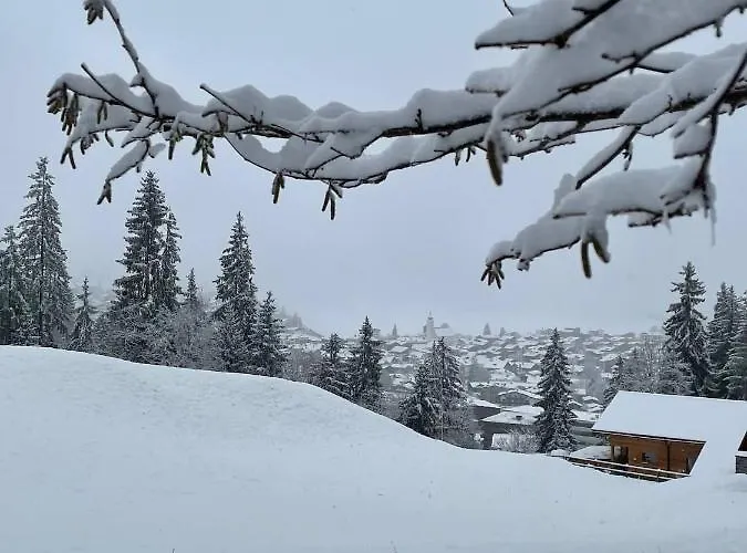 3,5 Direkt An Ski- Und Bikepiste Appartement *