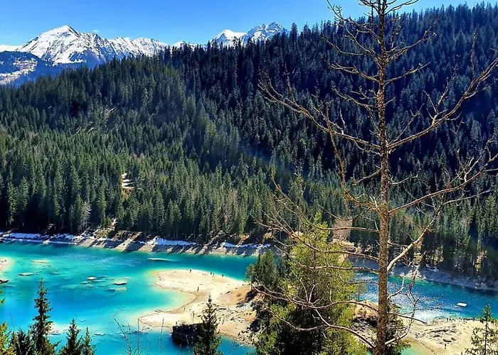 Appartement 3,5 Direkt An Ski- Und Bikepiste